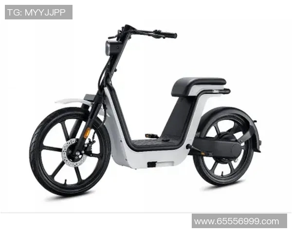 威兰特引领未来出行新风尚探索智能电动车的无限可能性 威兰特引领未来出行新风尚探索智能电动车的无限可能性