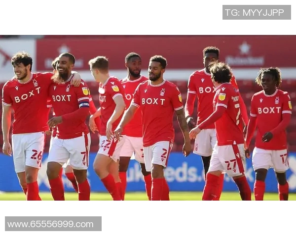 诺丁汉与斯旺西精彩对决直播全程回顾与分析 诺丁汉与斯旺西精彩对决直播全程回顾与分析