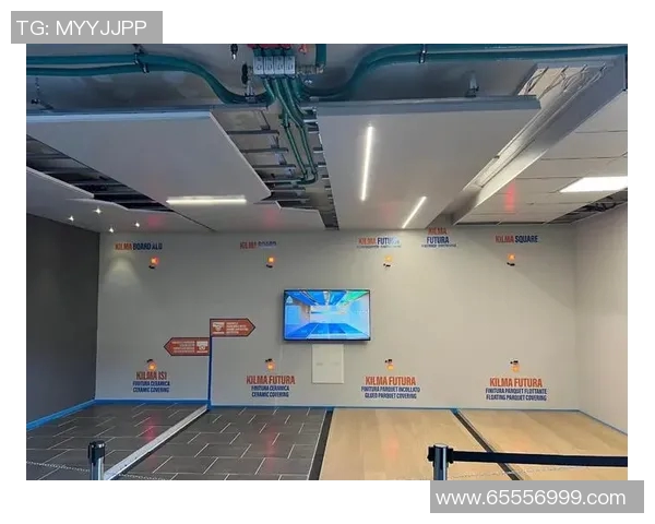 深入探讨vs板与spu板的区别与应用场景分析